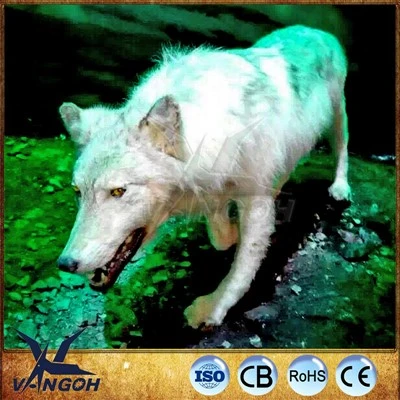 Simualtion Wolf