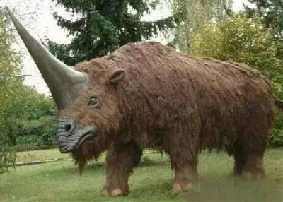Simulation Rhinoceros