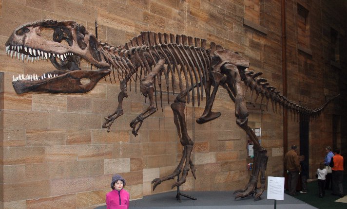 Giganotosaurus_AustMus_email