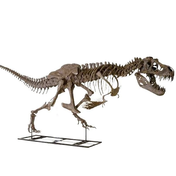 rex3